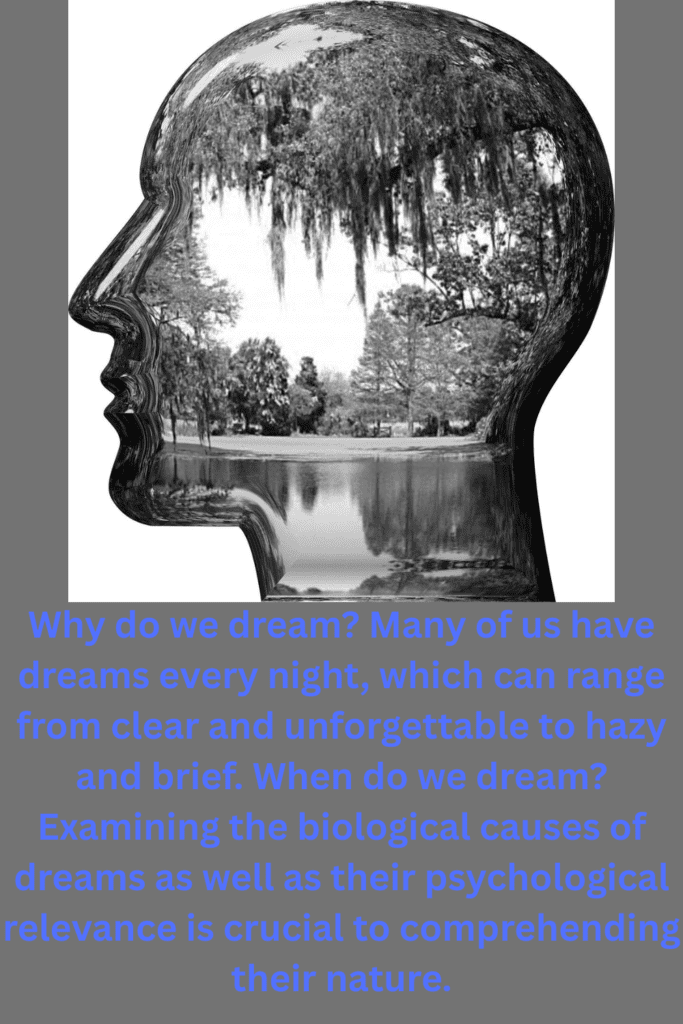Do We Dream and When