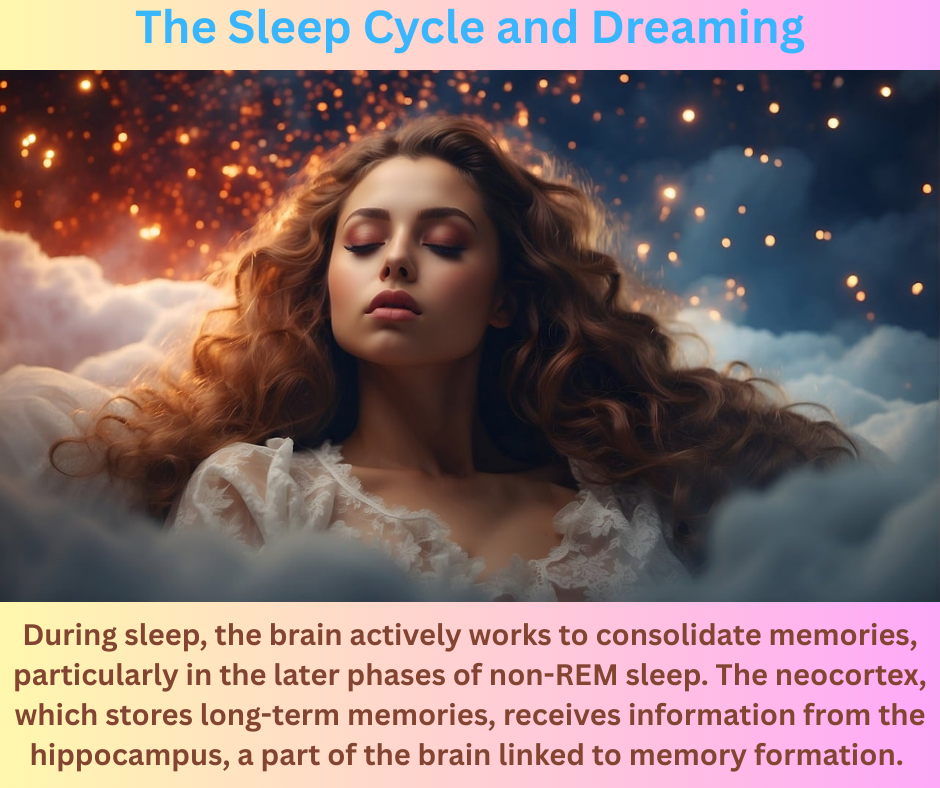 Dream when we sleep