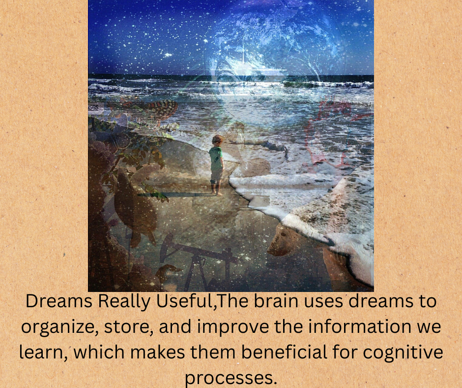 Dreams Really UsefulThe brain
