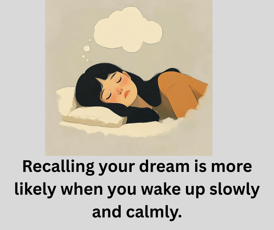 Why do we forget our dreams